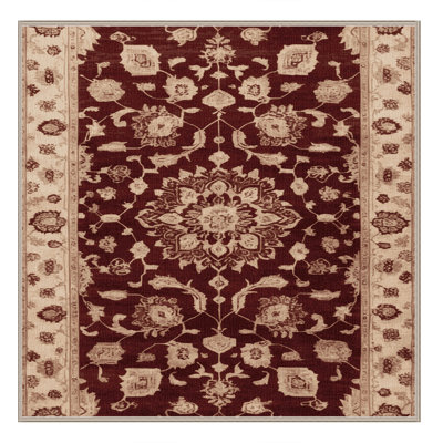 Machine Washable Overdyed Brown Area Rug