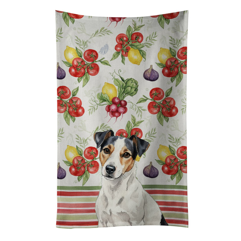Torchon blanc avec marques noires Russell Terrier, White/Black Markings Russell Terrier