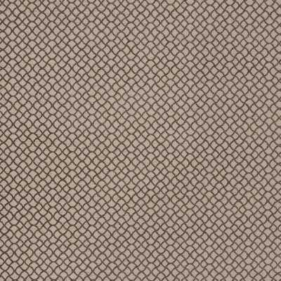 Epicurean Gothic Tracery Fabric