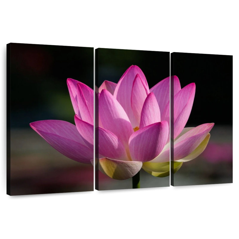 Harnek Precious Pink Lotus Flower, 42" H x 65" W