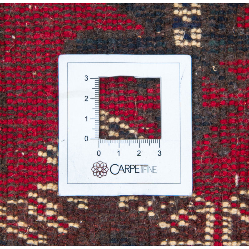 Oriental Wool Hand Woven 82cm X 118cm Area Rug