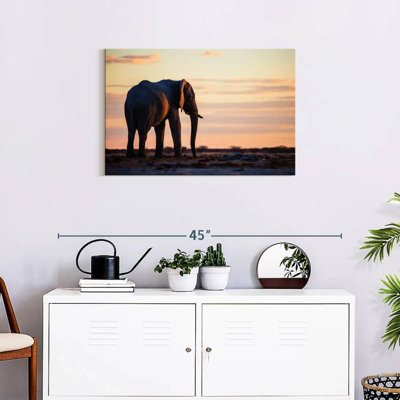 Brampt Solitary Elephant