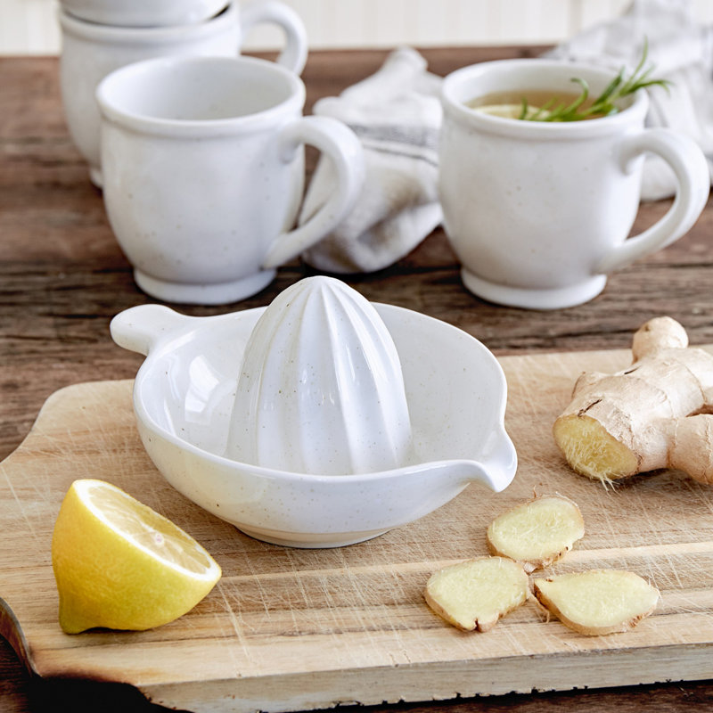 Juice/Citrus Squeezer