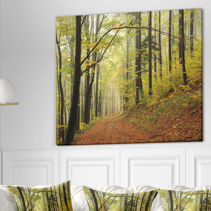 Forest Trail in the Fog - reproduction de photo sur toile tendue, H 30 po x l 40 po x P 1,5 po