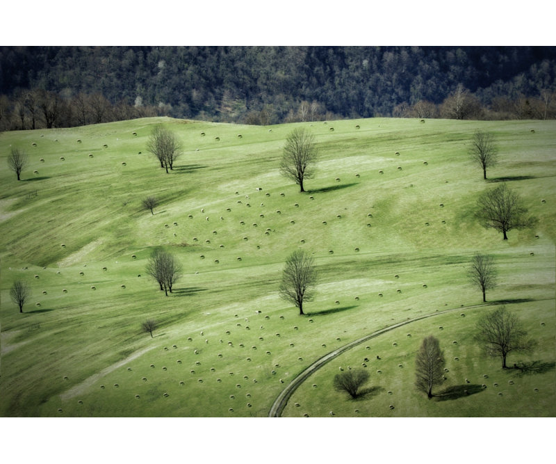 Wrapped Canvas Print, 121.92 cm H x 81.28 cm W