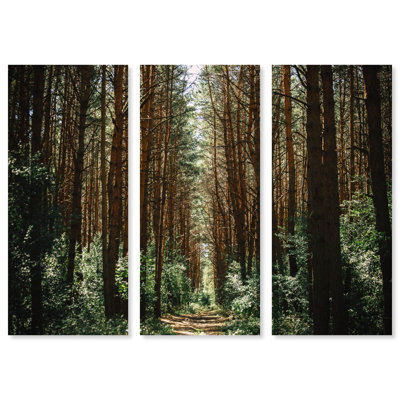 Oliver Gal Into The Woods Triptych, Deep Forest Trees Cabin / Lodge ...