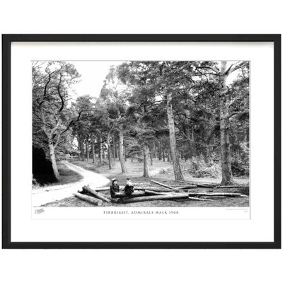 Pirbright, Admirals Walk 1908 by Francis Frith - Single Picture Frame Print