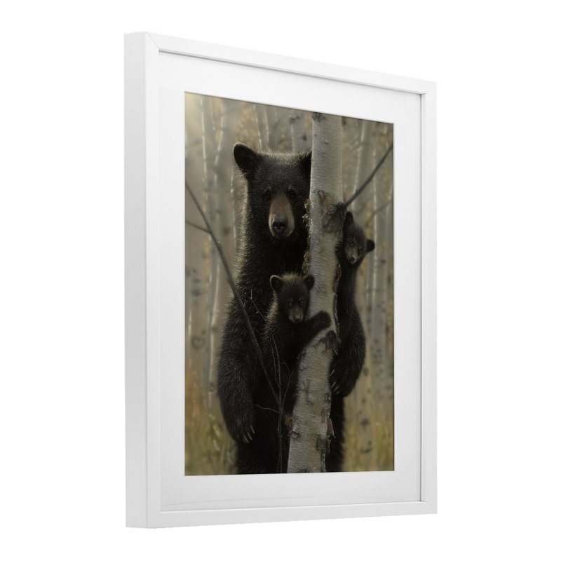 Mama Bear Behind Tree Framed Print Under Glass, design by Collin Bogle, 21" H x 17" W, Coastal White Frame
