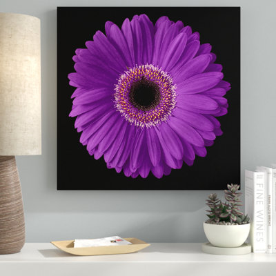 " Purple Gerbera Daisy " by Jim Christensen