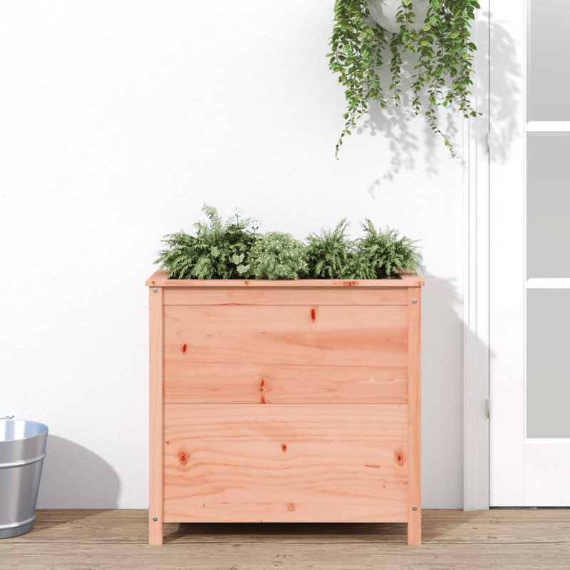 Blaguna Wood Pot Planter, Douglas, Brown, 78cm H x 82.5cm W x 40cm D