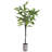 48.82'' Faux Eucalyptus Tree in Freestanding