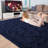 Niliyah Soft Fluffy Indoor/Outdoor Living Room Area Rug-2075339773