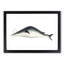 Whale by George Shaw - Framed Print-55641031-55641034
