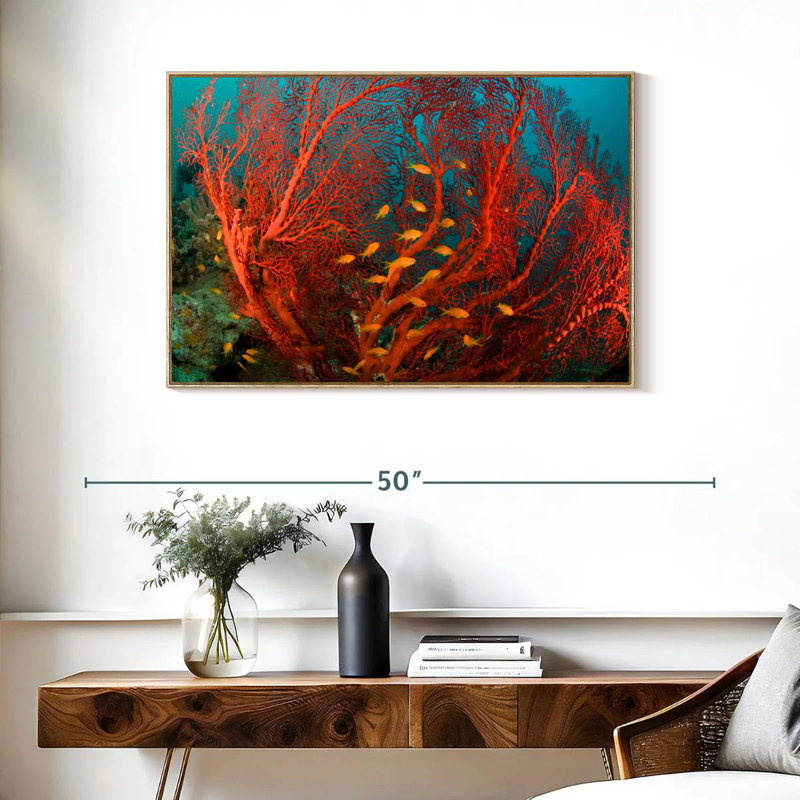Corail de feu, Cadre flottant en bois naturel, 37 po x 25 po