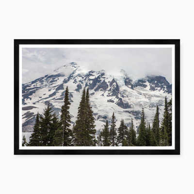 Mt. Rainier Treetops Framed Photographic Print