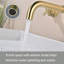 Bathroom Faucet-101301850