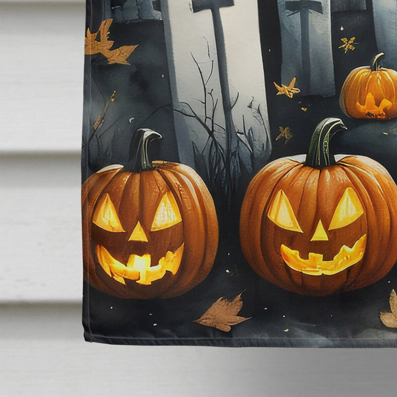 Double Sided 40'' H x 28'' W Polyester Halloween House Flag