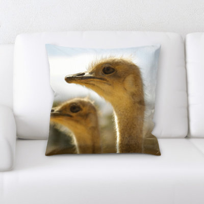 Ventura Ostrich Throw Pillow