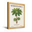 Plantes et fleurs, plante Schefflera, reproduction d'art botanique-266609328-266609330-266609331