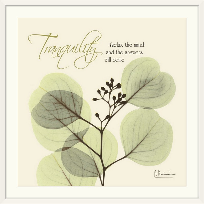 «Manigault» Tranquility Eucalyptus X-Ray par Kiranjit, reproduction de photo, H 38 po x l 38 po x P 1 po, Cadre blanc