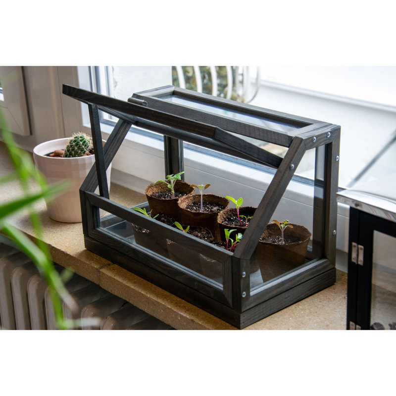 20 Ft W x 38 Ft D Cold Frame
