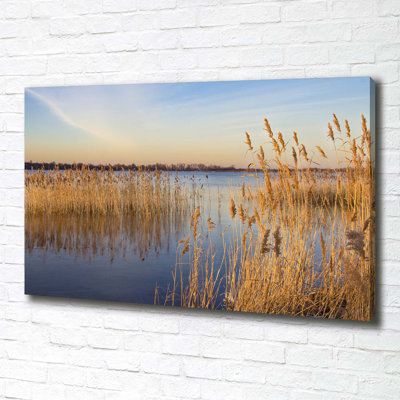 Watercane 1 Piece Wrapped Canvas Wall Art