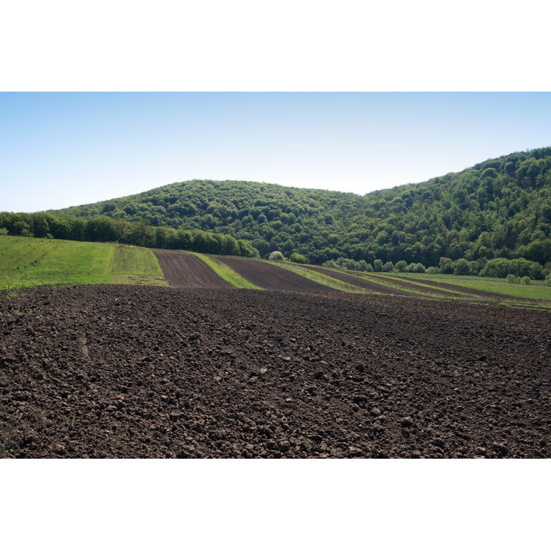 Tilled Land by Vesnyanka - Wrapped Canvas Print, 20cm H x 30cm W