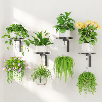 4Pcs Wall Mount Plant Shelves with Hangers for Indoor Planters, Heavy Duty Metal Window Floating Flower Holders Stand, Matte Black