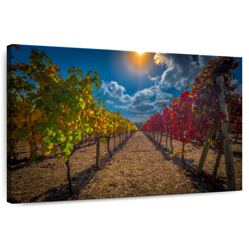Yarlin Vineyard, H 30 po x l 45 po