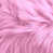 Rose est en rupture de stock