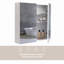 Cheree 15240 mm H Surface Mirrored Bathroom Cabinets with Mirror and 3 Adjustable Shelves-1921381639