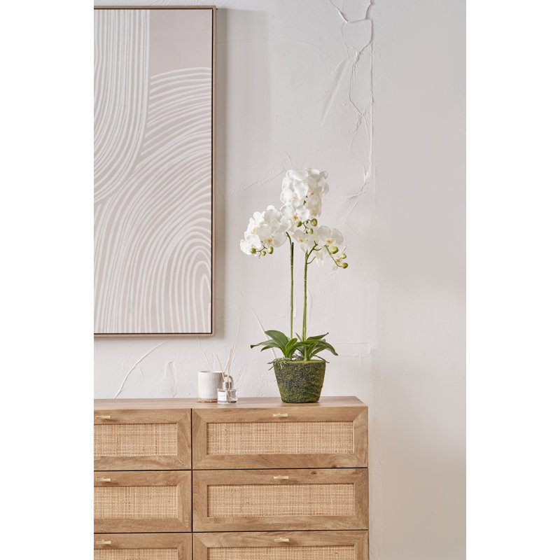 80cm Faux Plant in Cement Pot Liner