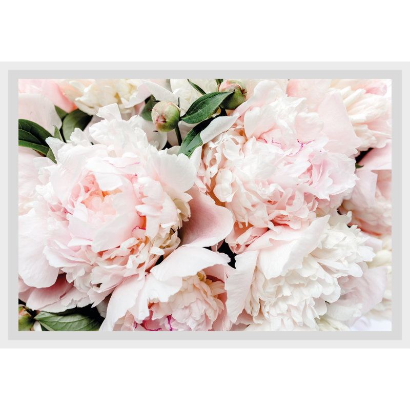 Rose - Single Picture Frame Print
