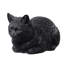 Chat tigré noir au repos-126248605