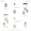 Luminaire suspendu simple à 1 lumière Lucilo-116654553