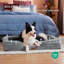 Lit confortable pour chien-109050357-109050369