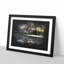 Mountain Beauty - Picture Frame Graphic Art Print-56862279-56862285
