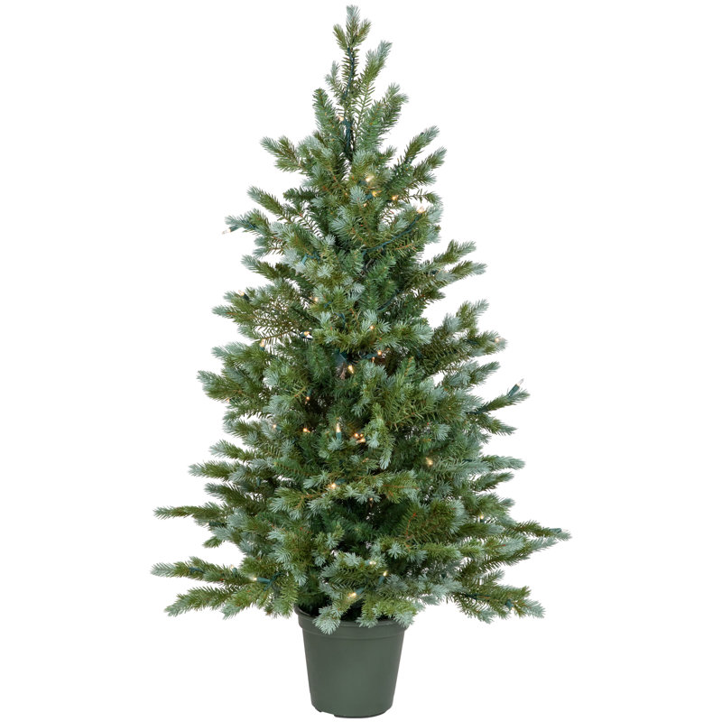 Arbre de Noël 48 '