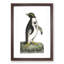 Crested Penguin by George Shaw - Picture Frame Painting Print-55621148-55621147