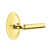 Unlacquered Brass
