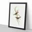 Long-Billed Reed Warbler by Elizabeth Gould - Picture Frame Painting Print-55580647-55580648