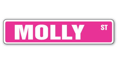 Molly Street Sign Heavy Duty Plastic 6" X 24"