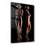 Decorative Tempered Glass Painting