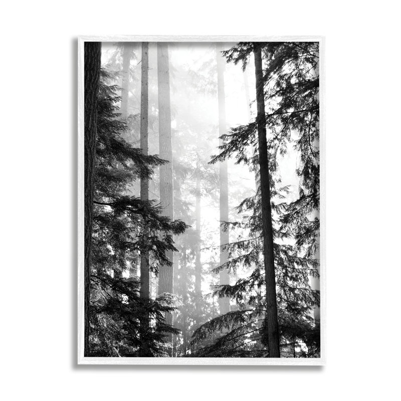 «Forest Light» qui brille à travers de grands arbres, photographie de paysage surdimensionnée, giclée sur toile blanche, art texturé par Gail Peck