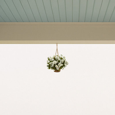 Geranium Hanging Basket UV Resistant