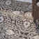 Empress Wool Damask Area Rug in Green