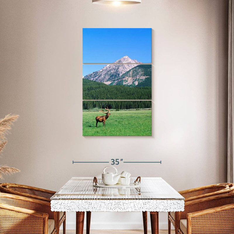 Brampt Coyote Valley Elk, 45" H x 28" W