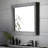 Portola Modern & Contemporary Beveled Bathroom / Vanity Mirror-50200909-60590007