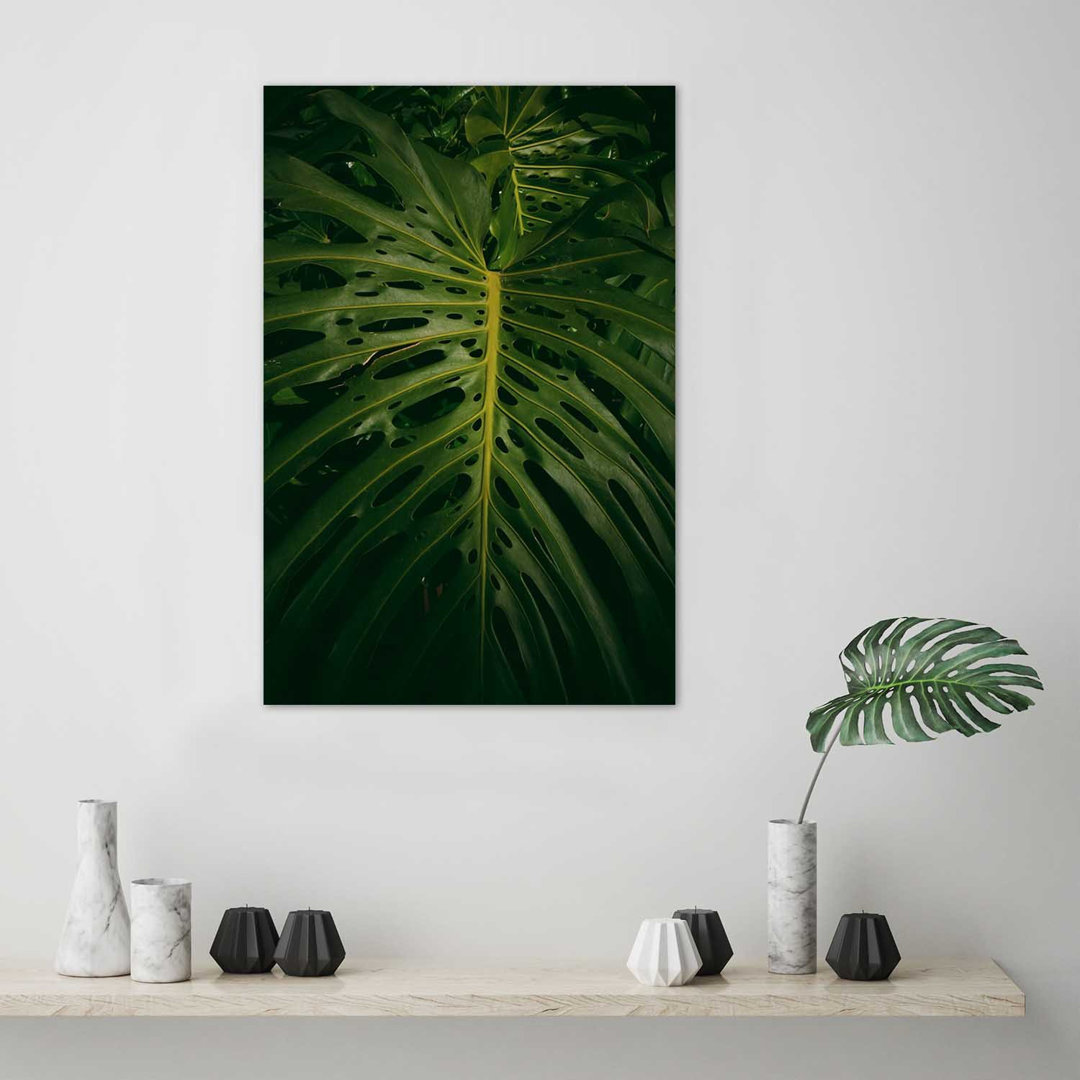 Fototapete Monstera, ein Blatt aus der Natur