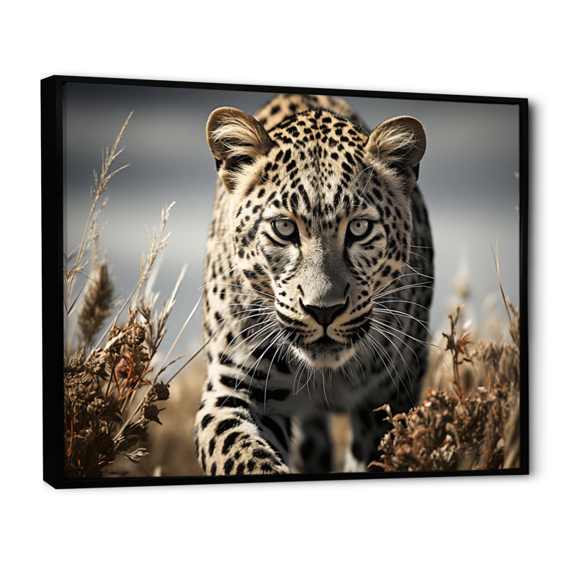 Portrait de guépard élégant - impression, Cadre flottant noir, H 12 po x l 20 po x P 1 po